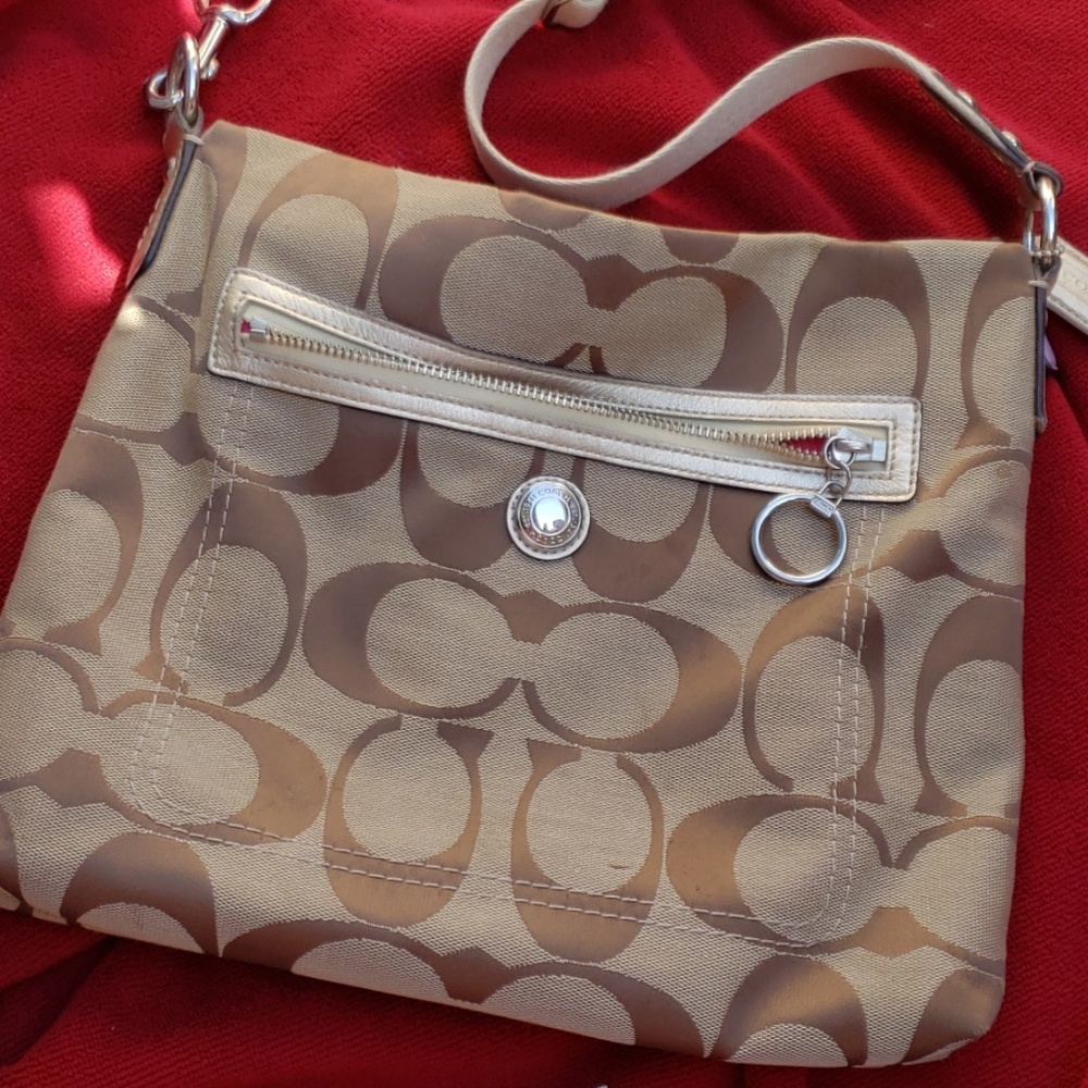 Coach Daisy Signature Crossbody